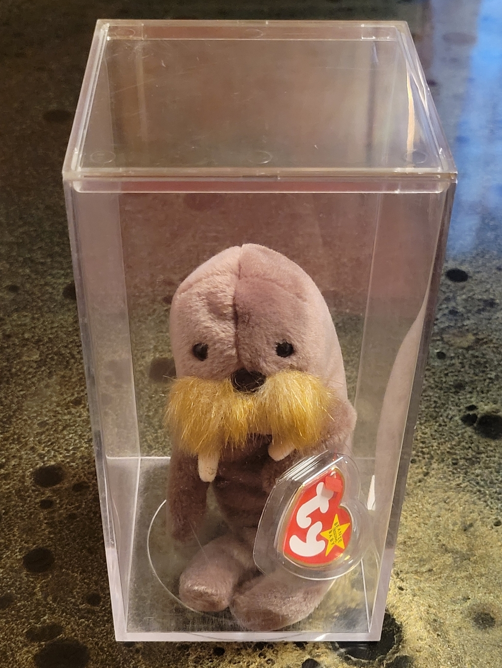 Ty Beanie Baby Retired 1996 Jolly the Walrus With Tag Protector & Display Case
